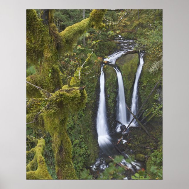 Triple Falls, Columbia River Gorge Poster (Framsidan)