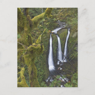 Triple Falls, Columbia River Gorge Vykort