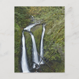 Triple Falls, Columbia River Gorge Vykort