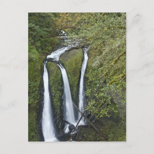 Triple Falls, Columbia River Gorge Vykort (Framsida)