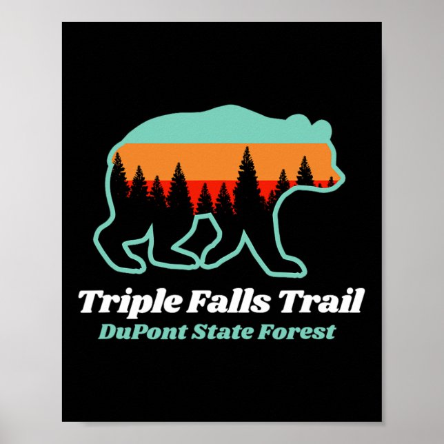 Triple Falls Trail Dupont State Forest Bear Souven Poster (Framsidan)