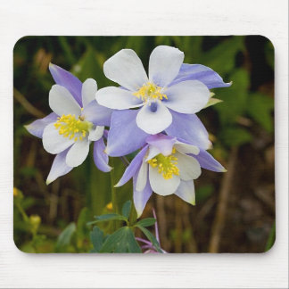 Triplet och New Bloom Musmatta