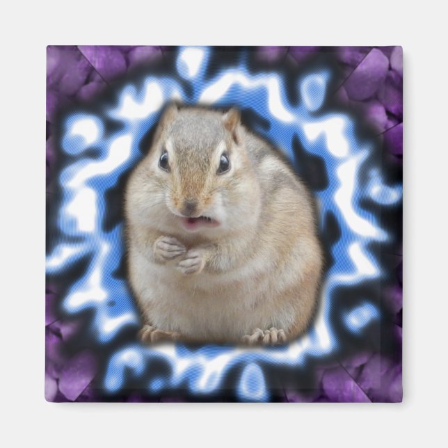 Tripmunk Magnet (Framsidan)