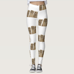 Trippel Sablande Fåniga Katter Meme Leggings