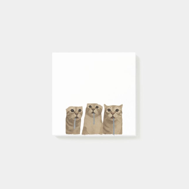 Trippel Sablande Fåniga Katter Meme Post-it Block (Framsida)
