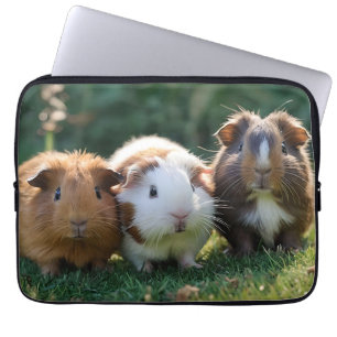 "Trippel Squeak: Trio of Aditable Baby Guinea Gris Laptop Fodral