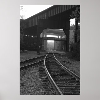 Trippelkorsningar Poster