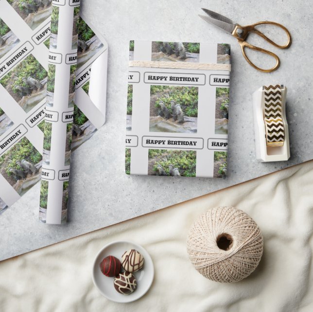 **"Trippelproblem: Äventyren i Otter Triplet Presentpapper (Hantverk)