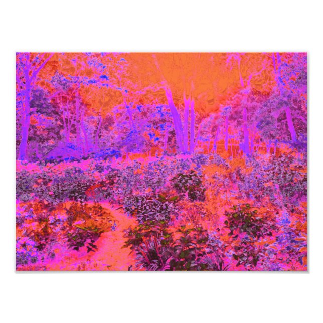 Trippig Magenta och Orange Impressionistisk Trädgå Fototryck (Framsidan)