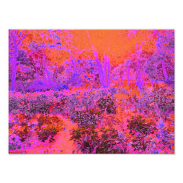 Trippy Magenta and Orange Impressionistic Garden Fototryck