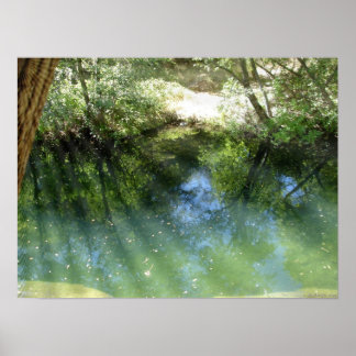 trippy psychedelic vatten poster