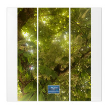 Triptych Wh (Sol Grönt Träd 1)RFPMDesigns ©️ 2021/
