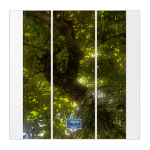 Triptych Wh (Sol Grönt Träd 2)RFPMDesigns ©️ 2021/