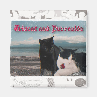 Triscat och Purrsolde magnet