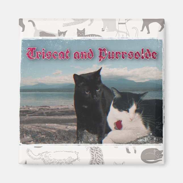 Triscat och Purrsolde magnet (Framsidan)
