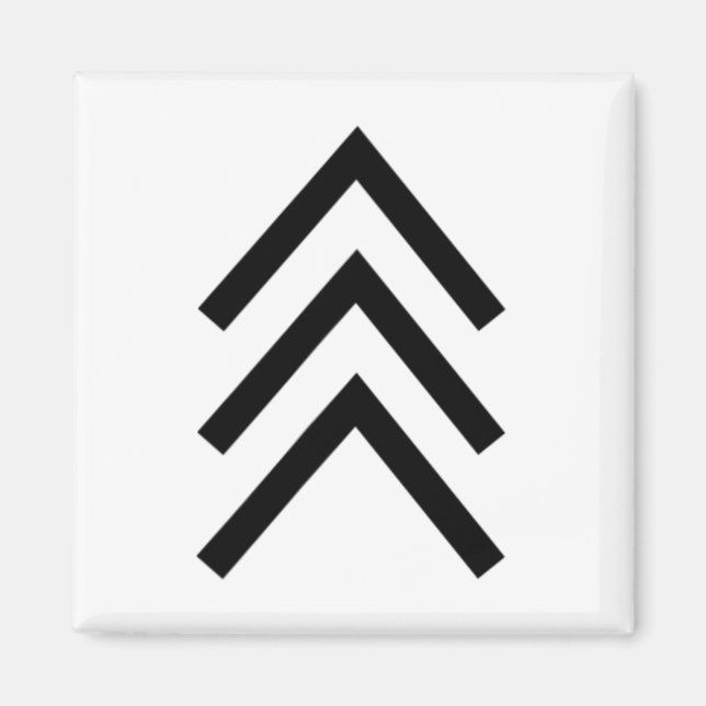 Trisomy 21 Down Syndrome Three Chromosome Arrows 1 Magnet (Framsidan)