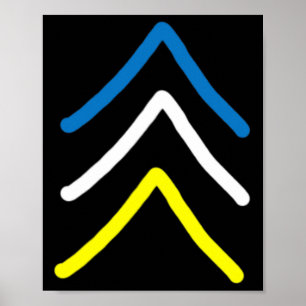 Trisomy 21 Down Syndrome Three Chromosome Arrows Poster