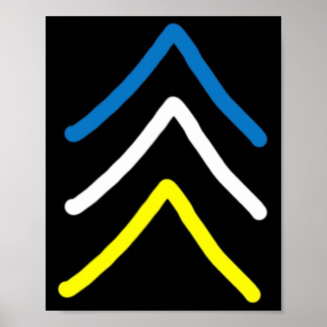 Trisomy 21 Down Syndrome Three Chromosome Arrows Poster (Framsidan)