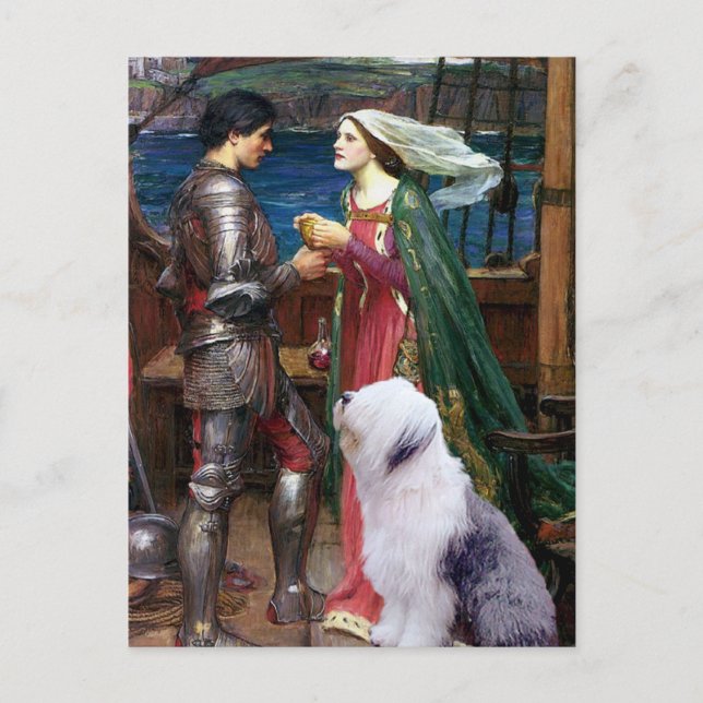 Tristam och Isolde-Gammal engelsk fårhund 1 Vykort (Framsida)