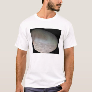 Triton den största månen av planet Neptune Tee