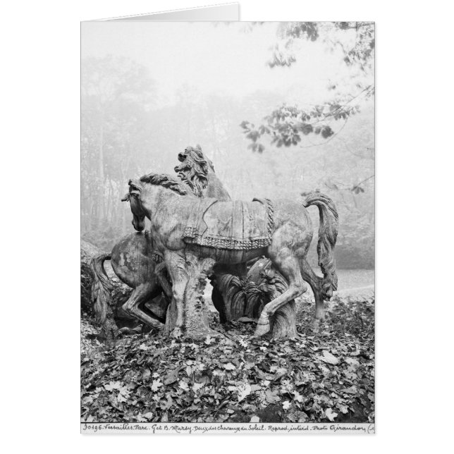 Tritoner som trimmar två hästar vid sol hälsningskort (Framsidan)