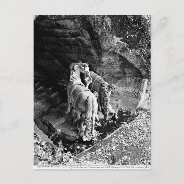 Tritoner som vattnar hästarna vid sol vykort (Framsida)