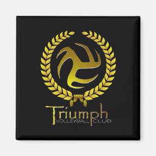 Triumf Magnet