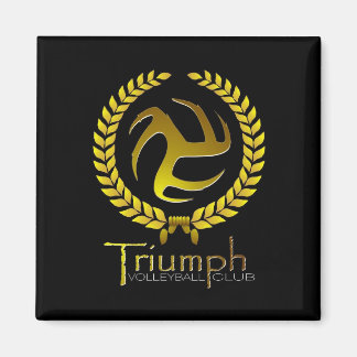 Triumf Magnet