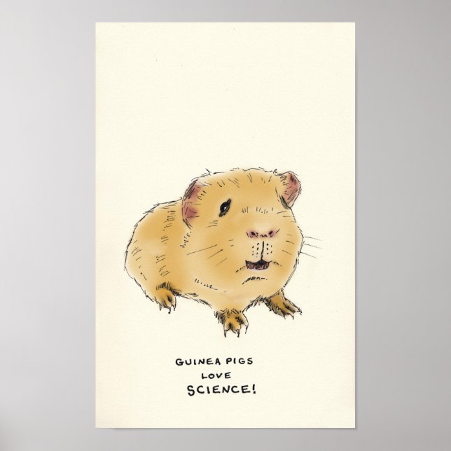 Trivia guinea gris poster (Framsidan)