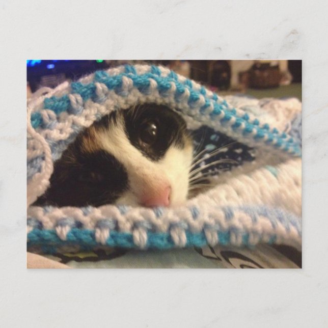 Trixie och bluesen vykort (Framsida)