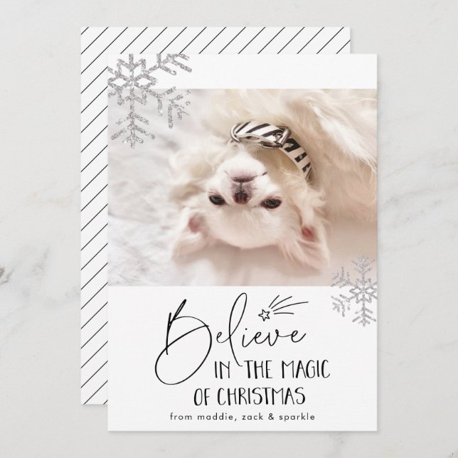 Tro | Husdjurs Foto Julkort (Fram/baksida)