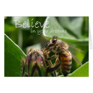 Tro i dina drömmar OBS kort