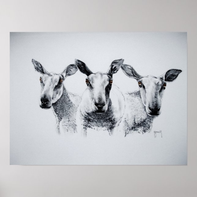 Tro of Sheep Print Poster (Framsidan)