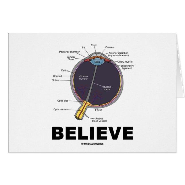 Tro öga (den Anatomical humorn) Hälsningskort (Framsidan Horizontal)