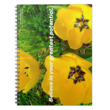 Tro på din Underbarare potential.