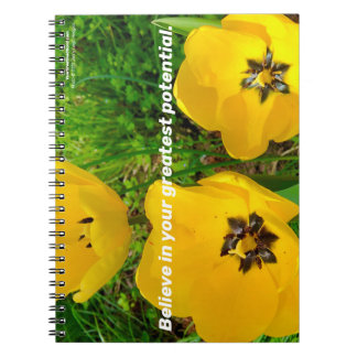 Tro på din Underbarare potential. Anteckningsbok