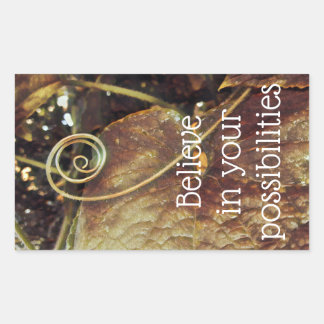 Tro på dina möjligheter rektangulärt klistermärke