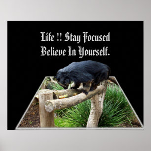 Tro på ditt eget budskap med Bearcat. Poster
