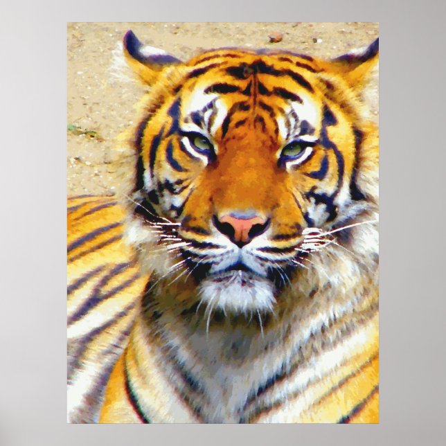 Tro_Poster Poster (Framsidan)