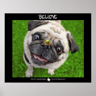 Tro Pug Frog Poster