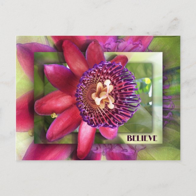 tro vykort (Framsida)