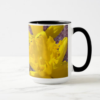 Trodde jag var chef! Kaffemuggar Narcissblommor
