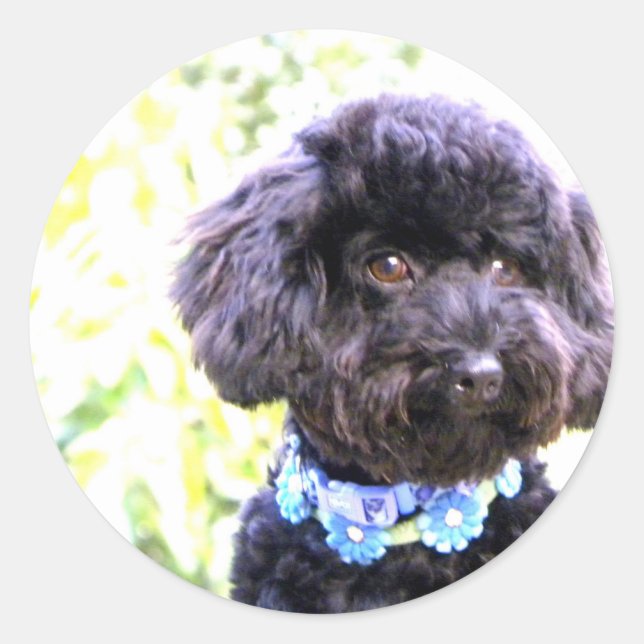 Trogen älska vän runt klistermärke (Framsida)