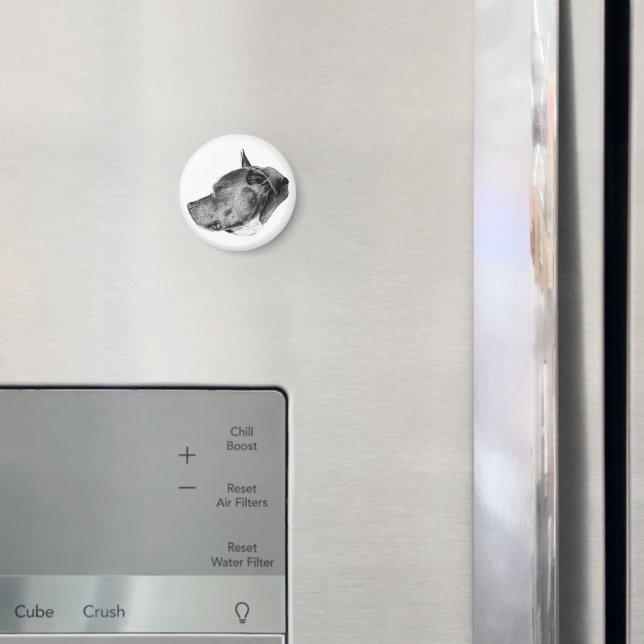 trogen följeslagare blick magnet (In Situ (Fridge))