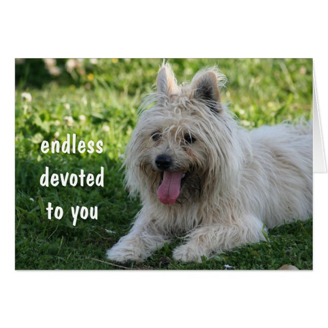 trogen hälsningskort (Framsidan Horizontal)