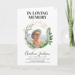 Tröghetsordning för det tropiska flygplansprogramm program