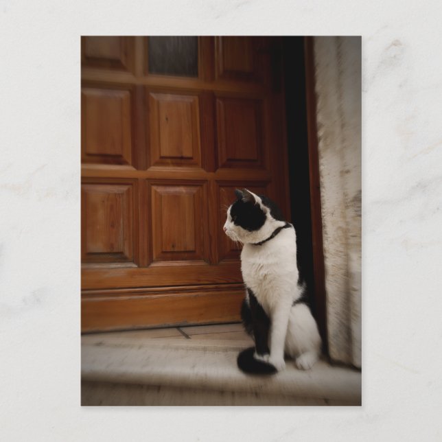 Trogir 16 vykort (Framsida)