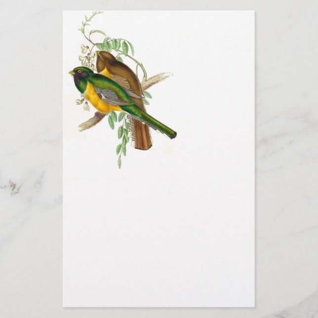 Trogon Bird BT Stationery Brevpapper (Framsida)