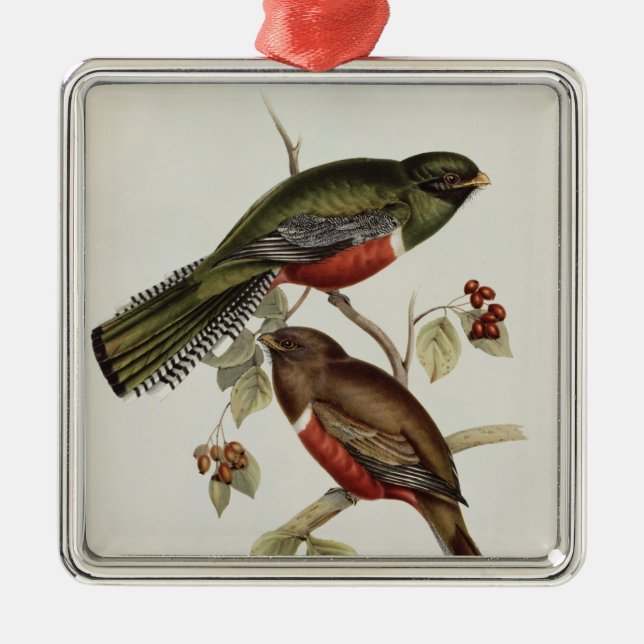 Trogon Collaris Julgransprydnad Metall (Framsidan)