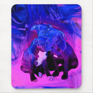 Trohopp & välgörenhet, missbrukade groptjurhundar musmatta